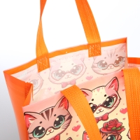 Сумка детская без застёжки, цвет оранжевый Сумка детская без застёжки, цвет оранжевый