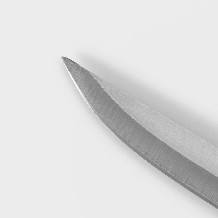 Нож обвалочный Доляна &laquo;Кронос&raquo;, лезвие 14 см, цвет чёрный