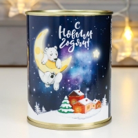 Копилка-подарок металл "Загадай желание. Winter time" Копилка-подарок металл "Загадай желание. Winter time"