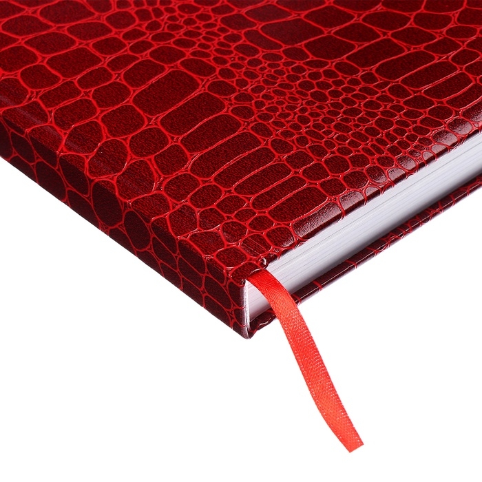 Ежедневник датированный 2025 года, deVENTE. Flag, Attomex. Arkona, твердая обложка бумвинил с поролоном, ляссе, блок 70 г/м2, красный