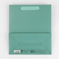 Пакет подарочный ламинированный, упаковка, &laquo;Тиффани&raquo;, ML 23 х 27 х 11.5 см