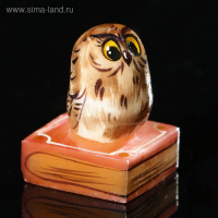 Сувенир &laquo;Совенок на книге&raquo;, 3,5&times;5 см, селенит