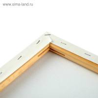 Холст на подрамнике, хлопок 100%, 50 х 60 х 1.8 см, акриловый грунт, мелкозернистый, 280 г/м&sup2;