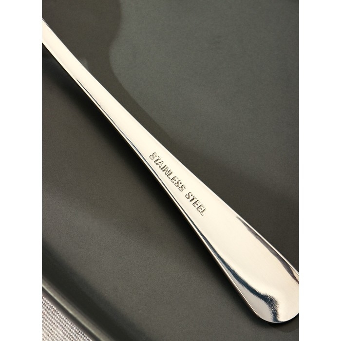 Ложка десертная из нержавеющей стали Доляна «Таун», длина 18,5 см, толщина 2 мм, цвет серебряный Ложка десертная из нержавеющей стали Доляна «Таун», длина 18,5 см, толщина 2 мм, цвет серебряный