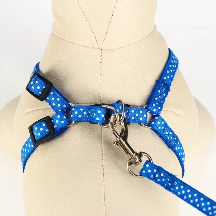 Комплект прошитый Комплект прошитый "Горошек", ширина 1 см, поводок 120 см, шлейка 23-35 см, синий