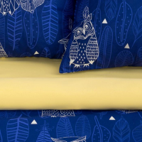 Постельное бельё "Этель" 2 сп Ушастые совы (вид 3) 175 х 215 см, 200 х 220 см, 70 х 70 - 2 шт