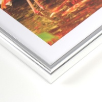 Фоторамка формат А4 21х30 см 45-Р(Ф) серебро (пластиковый экран)