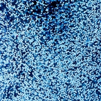 Набор для творчества «Декор: блёстки» Набор для творчества «Декор: блёстки»