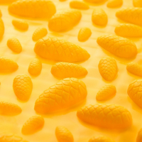 Модульный массажный коврик ОРТОДОН, набор №1 «Универсал» Модульный массажный коврик ОРТОДОН, набор №1 «Универсал»