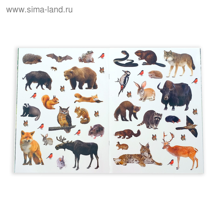 Набор книг с наклейками &laquo;Первые энциклопедии малыша&raquo;, 4 шт. № 1