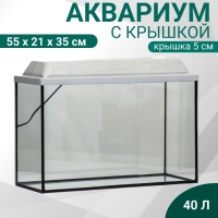 Аквариум Прямоугольный "Атолл" с крышкой, 40 литров, 55 х 21 х 35/40 см, беленый дуб Аквариум Прямоугольный "Атолл" с крышкой, 40 литров, 55 х 21 х 35/40 см, беленый дуб