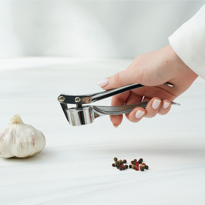 Пресс для чеснока Доляна &laquo;Эрнест&raquo;, 15 см, цвет серебряный