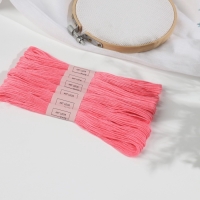 Набор ниток мулине №956, 8 ± 1 м, 6 шт, цвет ярко-розовый Набор ниток мулине №956, 8 ± 1 м, 6 шт, цвет ярко-розовый