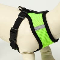 Комплект амуниции с мягкой шлейкой и светоотражающей нашивкой, L, ОШ 33 см, ОГ 36-48, зелёный Комплект амуниции с мягкой шлейкой и светоотражающей нашивкой, L, ОШ 33 см, ОГ 36-48, зелёный