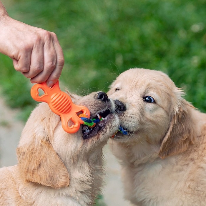 Игрушка жевательная с канатом "Косточка на привязи", 9,5 см, розовая