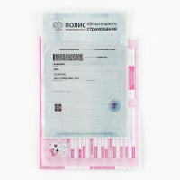 Папка для медицинского полиса «Наша малышка», 17,5 х 11,3 см. Папка для медицинского полиса «Наша малышка», 17,5 х 11,3 см.