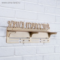 Медальница с полкой "Наша Гордость", 45х16см Медальница с полкой "Наша Гордость", 45х16см