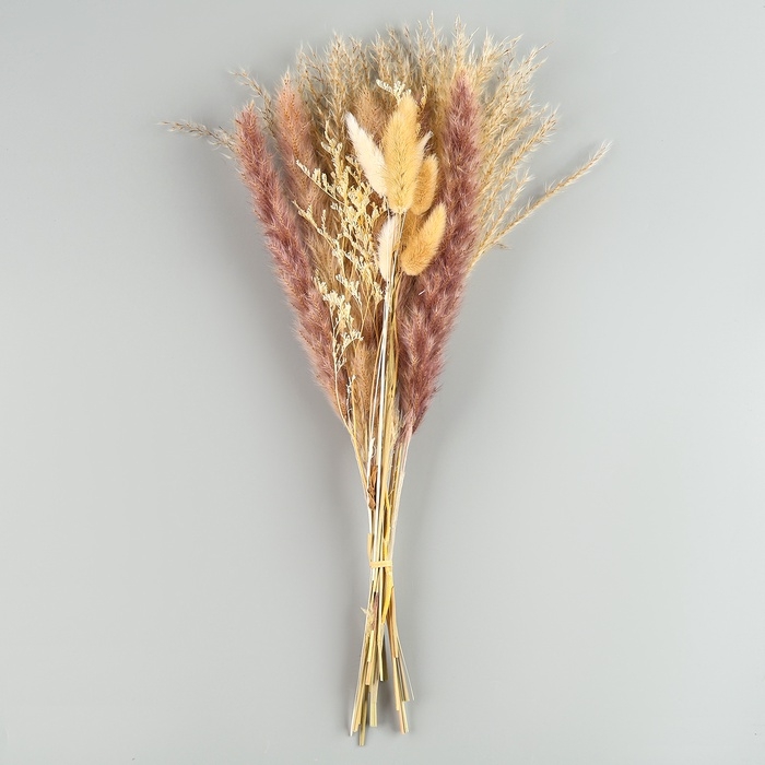 Сухоцветы &laquo;Лагурус&raquo;, набор из 3 видов, 48 &times; 16 &times; 6 см