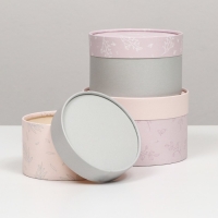 Набор шляпных коробок 3 в 1 "Пастель", завальцованная, 16 х 10, 14 х 9, 13 х 8,5 см Набор шляпных коробок 3 в 1 "Пастель", завальцованная, 16 х 10, 14 х 9, 13 х 8,5 см