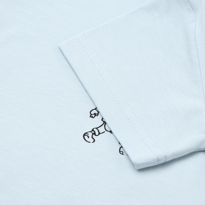 Футболка для мальчика, цвет голубой, рост 116 см