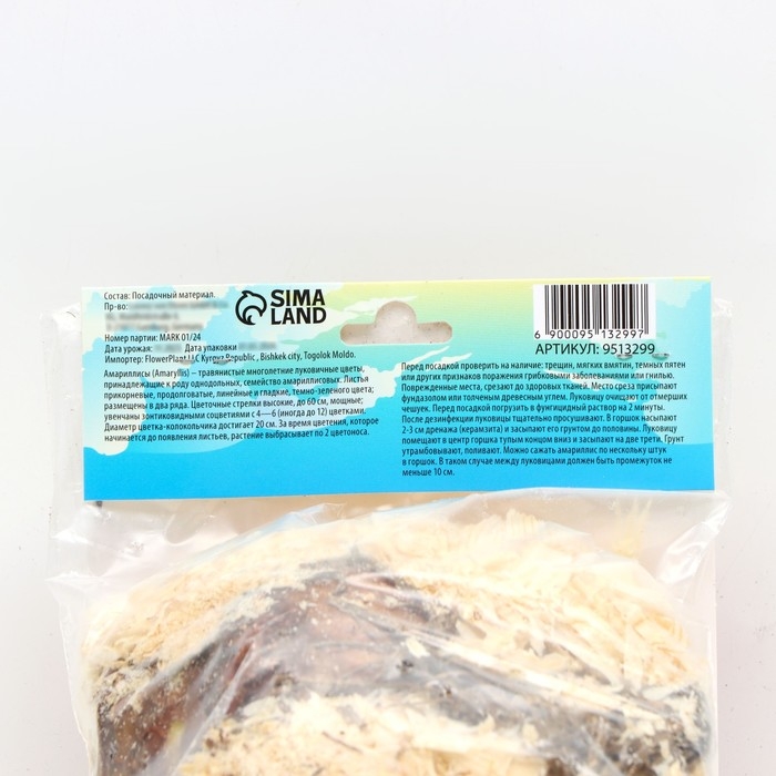 Амариллис Мелкоцветущий Амариллис Мелкоцветущий "Sleeping Beauty new", р-р 24/26, 1 шт,