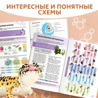 Энциклопедия в мягком переплёте &laquo;Биология для детей&raquo;, 68 стр.