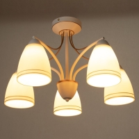 Люстра "Фрэнликс" 5хЕ27 40Вт белый 54х54х30 см BayerLux