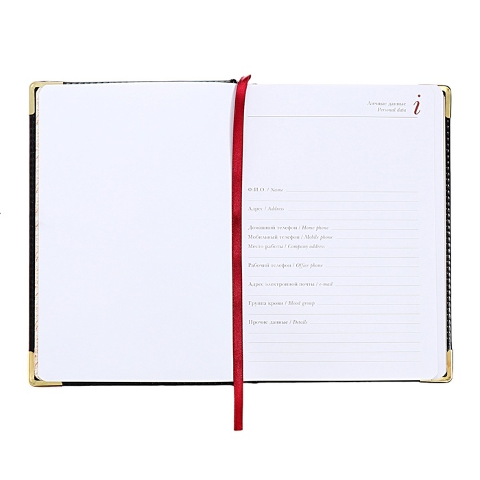 Ежедневник недатированный А5+, 136 листов Sidney Nebraska, твёрдая обложка, искусственная кожа, золотой срез, золотые уголки, чёрный