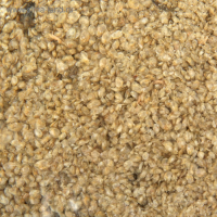 Корм для рыб Дафния, пакет, 100гр Корм для рыб Дафния, пакет, 100гр