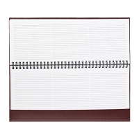 Планинг датированный 2025 года, 64 листа, Attomex Orion, твердая обложка бумвинил с поролоном, тиснение фольгой, блок 70 г/м2, коричневый, 294 х 142мм