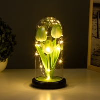 Ночник колба «Тюльпаны» LED 3хААА зеленый 10,5х10,5х22см Ночник колба «Тюльпаны» LED 3хААА зеленый 10,5х10,5х22см