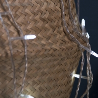 Гирлянда &laquo;Нить&raquo; 5 м с насадками &laquo;Игла&raquo;, IP20, прозрачная нить, 50 LED, свечение белое, 8 режимов, 220 В