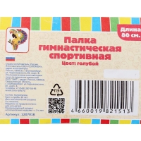 Палка гимнастическая, 80 см, цвет голубой Палка гимнастическая, 80 см, цвет голубой