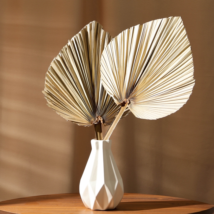 Сухие цветы &laquo;Лист пальмовый&raquo;, 50 &times; 25 &times; 2 см