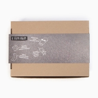 Набор подарочный &laquo;Новый год: Счастье&raquo; плед и аксессуары