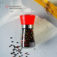 Мельница для специй Доляна «Модерн», 180 мл, 6,5×13 см, цвет красный Мельница для специй Доляна «Модерн», 180 мл, 6,5×13 см, цвет красный