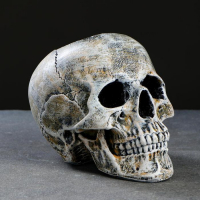 Подставка под ёрш "Череп" 16х15х22см (ершик н/сталь) Подставка под ёрш "Череп" 16х15х22см (ершик н/сталь)