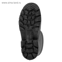 Сапоги мужские, цвет чёрный, размер 44