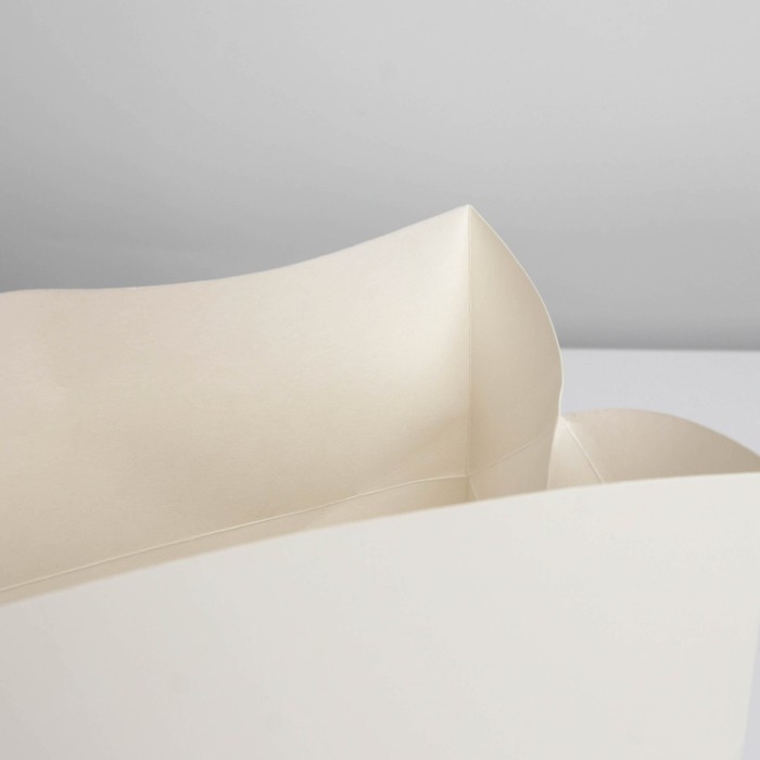 Пакет&mdash;коробка, подарочная упаковка, &laquo;Белый&raquo;, 28 х 20 х 13 см