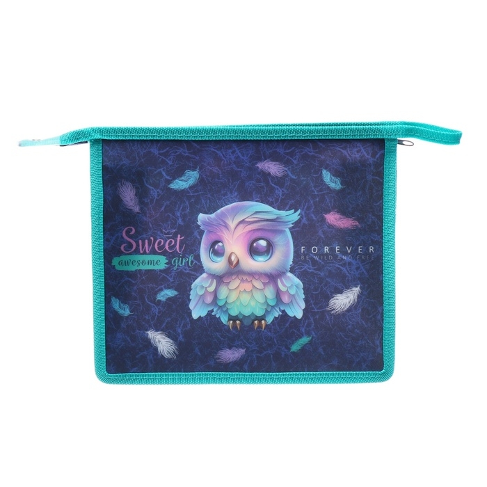 Папка для тетрадей А5, 243 х 200 х 80 мм, молния сверху, пластиковая, de VENTE Happy Owl, для девочек