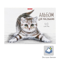 Альбом для рисования А4, 40 листов, блок 120 г/м&sup2;, на клею, Erich Krause "Tabby", 100% белизна, твердая подложка