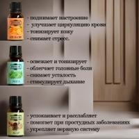 Набор эфирных масел "Лесные ноты" 9 шт по 17 мл Добропаровъ Набор эфирных масел "Лесные ноты" 9 шт по 17 мл Добропаровъ