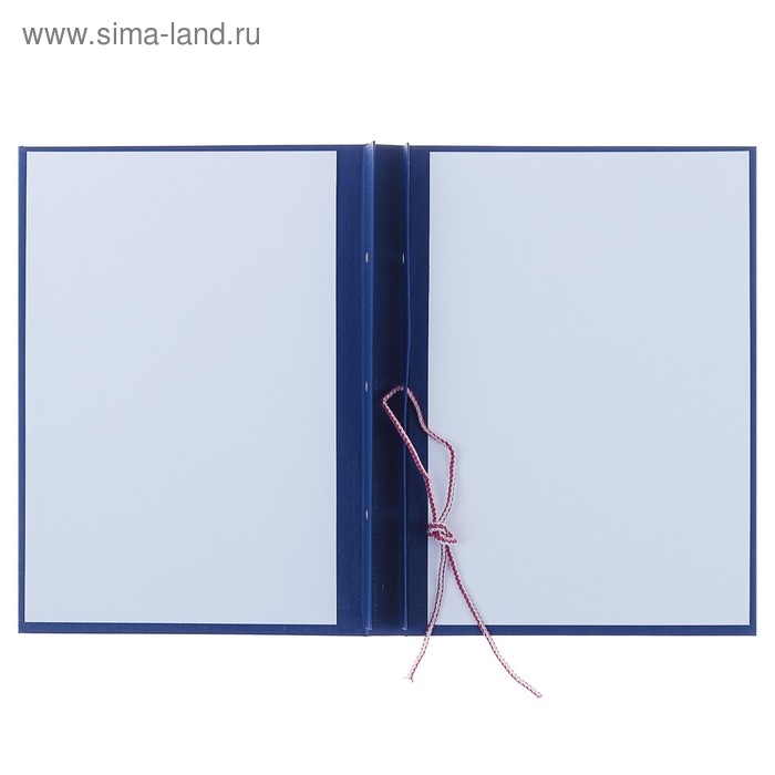 Папка Папка "Магистерская диссертация" бумвинил, гребешки/сутаж, без бумаги, цвет синий (вместимость до 300 листов)