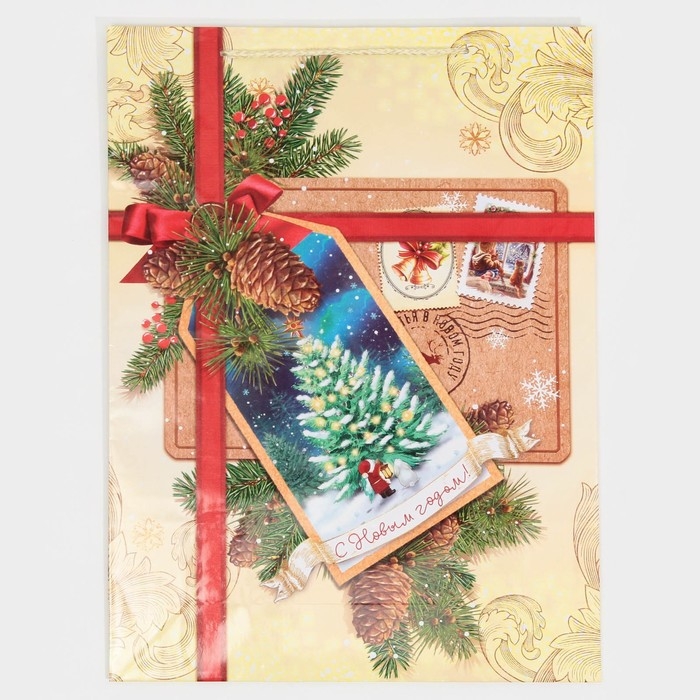 Пакет подарочный новогодний ламинированный &laquo;С Новым годом!&raquo;, L 28 х 38 х 9 см