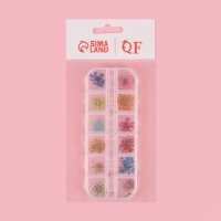 Сухоцветы для декора ногтей, 12 видов, в футляре, цвет разноцветный