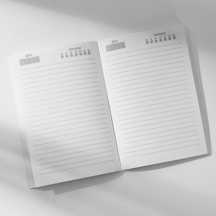 Ежедневник в тонкой обложке А5, 80 л «Альфа-самец» Ежедневник в тонкой обложке А5, 80 л «Альфа-самец»