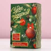 Подарочный набор косметики &laquo;Чудес и подарков!&raquo;, гель для душа и пена для ванны, 2 х 100 мл, Новый Год