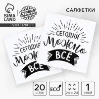 Салфетки бумажные «Сегодня можно всё», однослойные, 24х24 см, набор 20 шт. Салфетки бумажные «Сегодня можно всё», однослойные, 24х24 см, набор 20 шт.