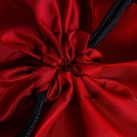 Мешок для обуви &laquo;Кеды&raquo; 2 секции, 30 х 40 см