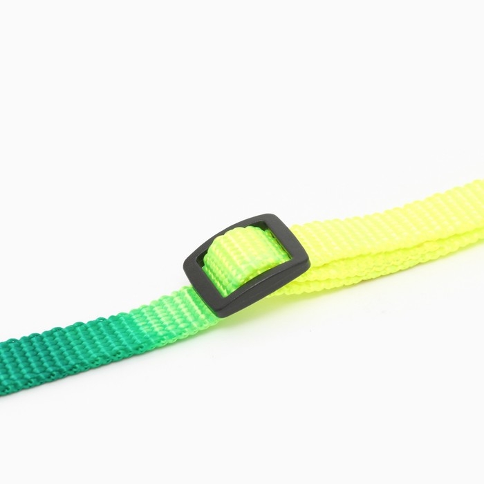 Ошейник Ошейник "Радуга", 33 х 1 см, полиэстер, микс цветов